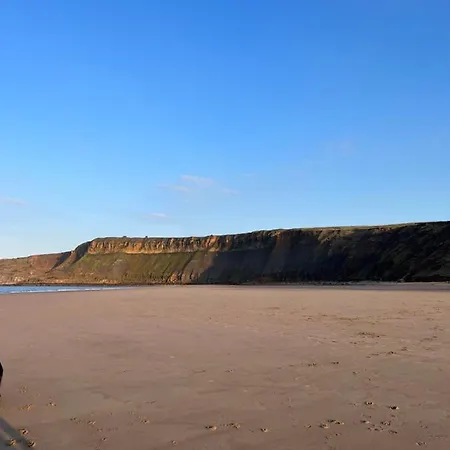 Sea La Vie * Cayton